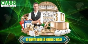 Lô Khung 2 Ngày: Bí Quyết Nuôi Đề Bạch Thủ Hiệu Quả Nhất