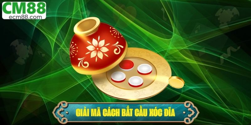 Giải Mã Cách Bắt Cầu Xóc Đĩa – Tuyệt Chiêu Tăng Tỷ Lệ Thắng