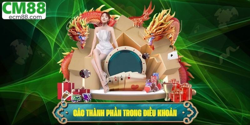 Các thành phần cơ bản trong điều khoản dịch vụ CM88