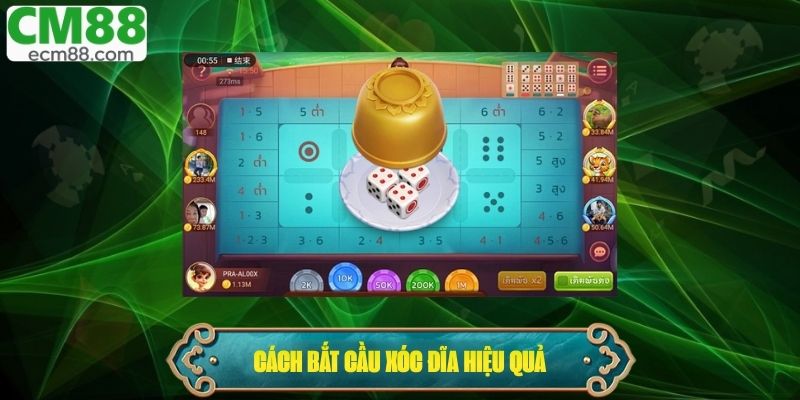 Cách bắt cầu Xóc Đĩa hiệu quả