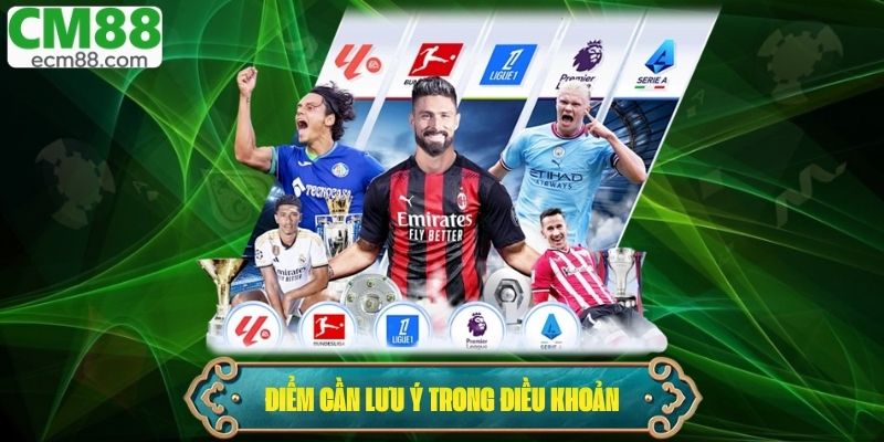 Các điểm cần đặc biệt lưu ý trong điều khoản dịch vụ