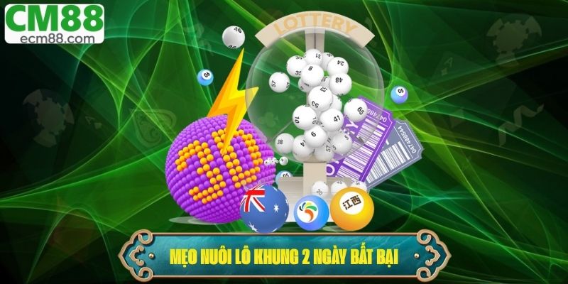 Mẹo nuôi lô khung 2 ngày bất bại